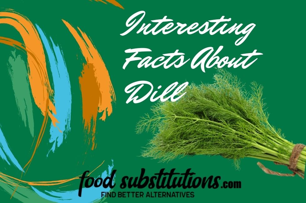 Dill Facts