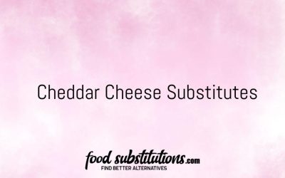 Cheddar Cheese Substitute – Replacements And Alternatives