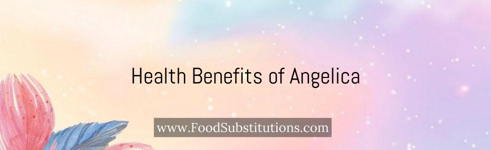 Health Benefits of Angelica