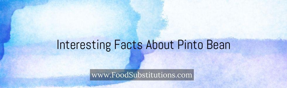 Interesting Facts About Pinto Bean