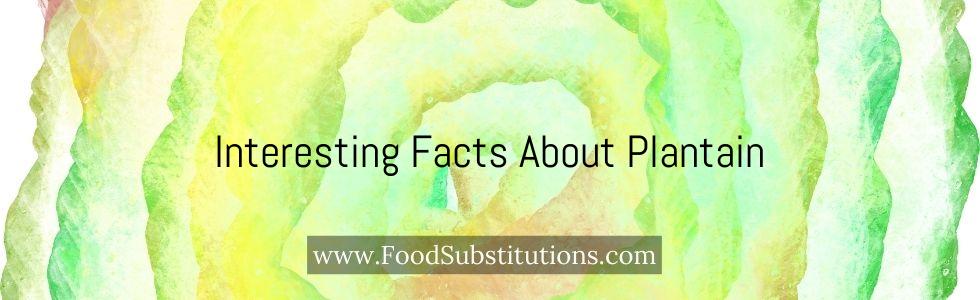 Interesting Facts About Plantain