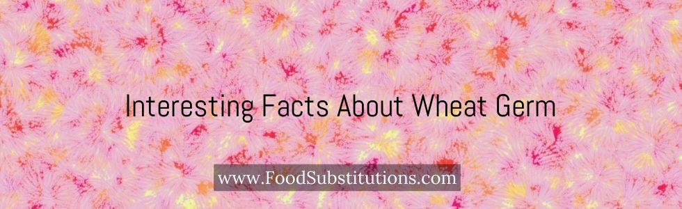 Interesting Facts About Wheat Germ