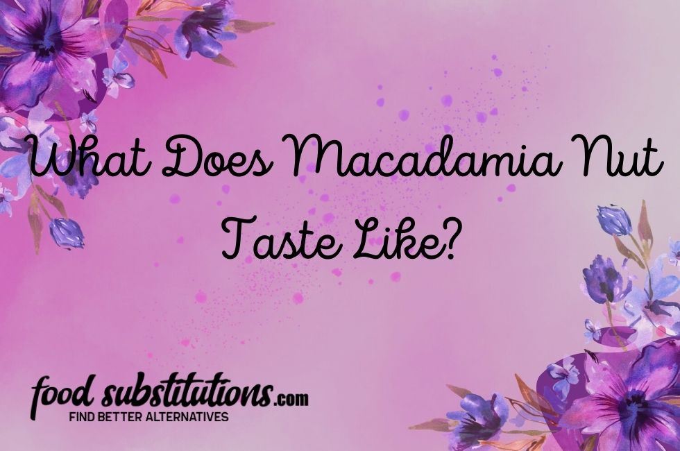 Macadamia Nut Taste Like
