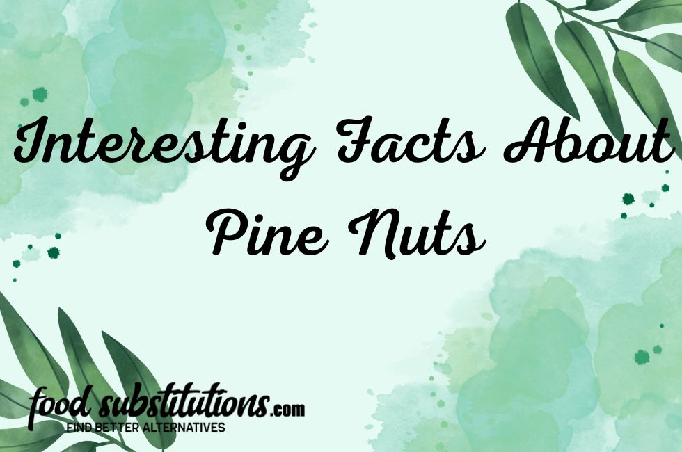 Pine Nut Interesting Facts
