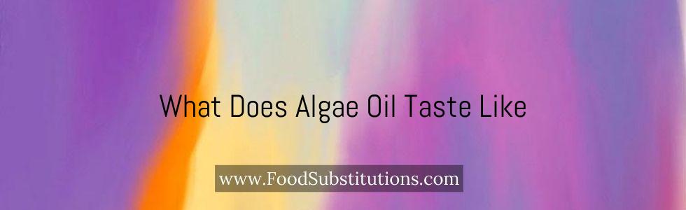 What Does Algae Oil Taste Like