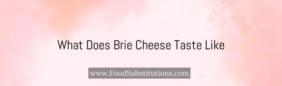 What Does Brie Cheese Taste Like