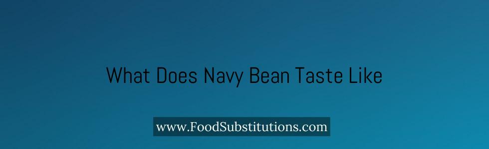 What Does Navy Bean Taste Like