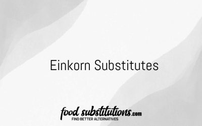 Einkorn Substitute – Replacements And Alternatives