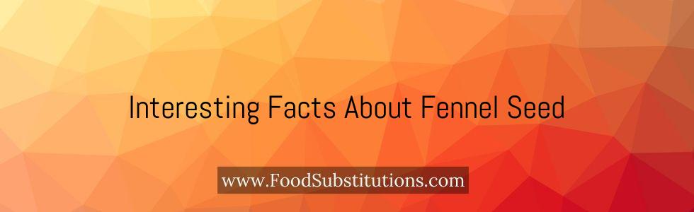 Interesting Facts About Fennel Seed
