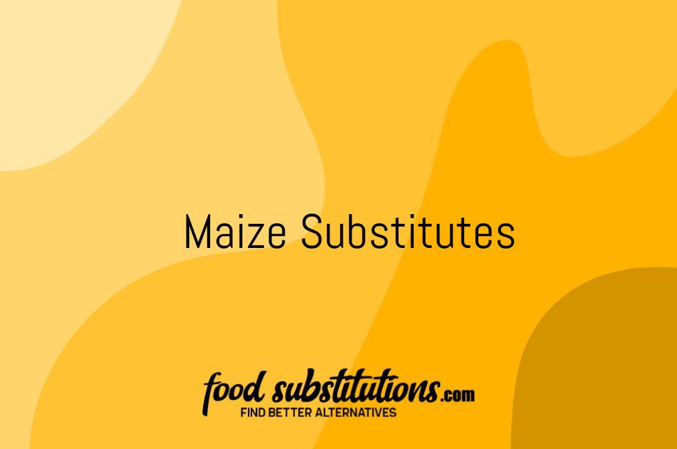 Maize Substitute – Replacements And Alternatives