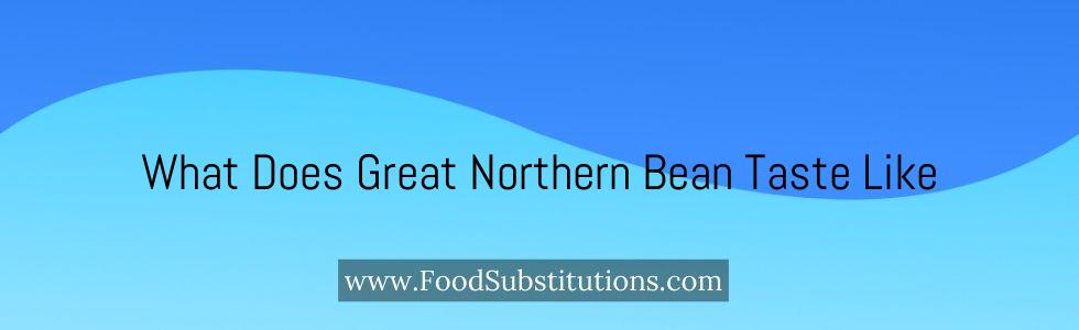 What Does Great Northern Bean Taste Like