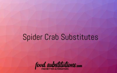 Spider Crab Substitute – Replacements And Alternatives