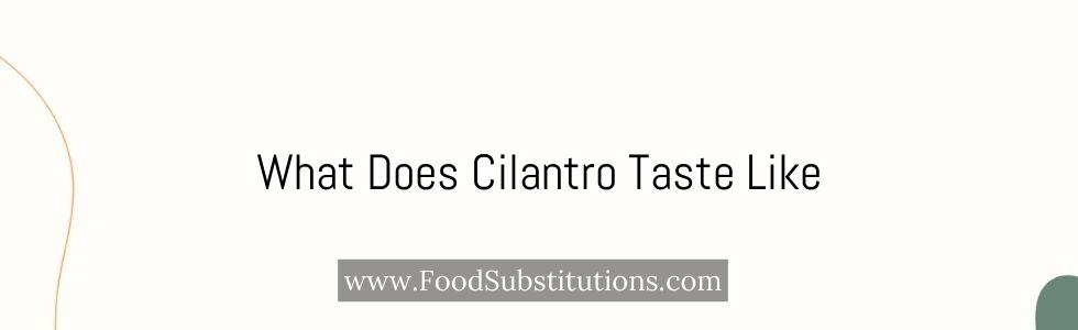What Does Cilantro Taste Like